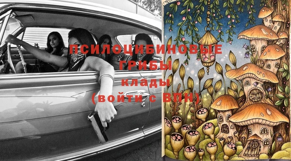 прущая мука Абаза