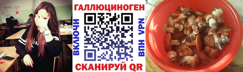как найти наркотики  Раменское  Галлюциногенные грибы мицелий 